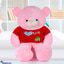 Shop in Sri Lanka for Pinkie Tee - 3.9 Ft Cute Giant Teddy Bear