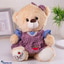 Shop in Sri Lanka for Tawny Cute Teddy Bear - Brown Color