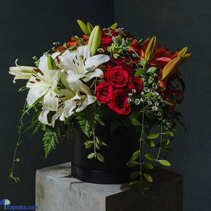 Velvet Dreams Flower Arrangement - By Shirohana Online at Kapruka | Product# EF_PC_FLOW0V841POD00023