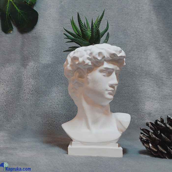 Zebra Cactus Plant In David Statue Pot Online at Kapruka | Product# EF_PC_FLOW0V1218P00001