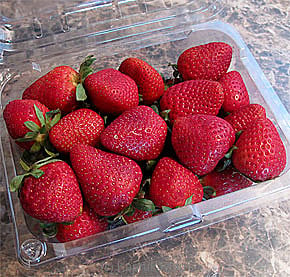 Strawberry Pack 250g Online at Kapruka | Product# fruits00120
