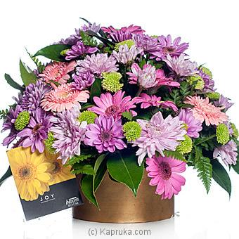 Bloom Room Pot Arrangement Of Gerberas With Chrysanthemum Online at Kapruka | Product# flowers00T569