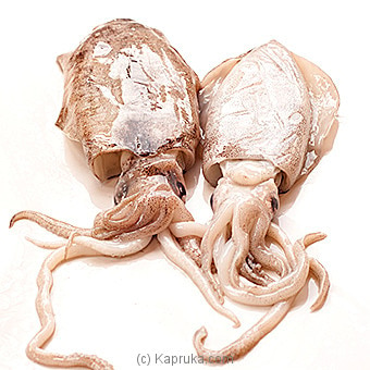 Cuttlefish (della ) - 1kg Online at Kapruka | Product# seafood00103