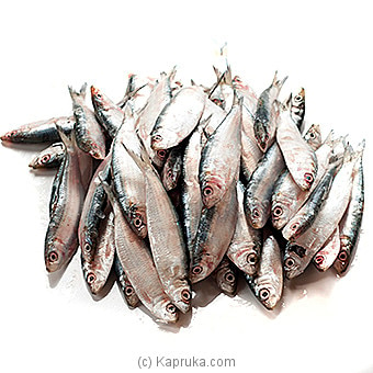 Gold Striped Sardine Fish (salaya) - 1kg Online at Kapruka | Product# seafood00101