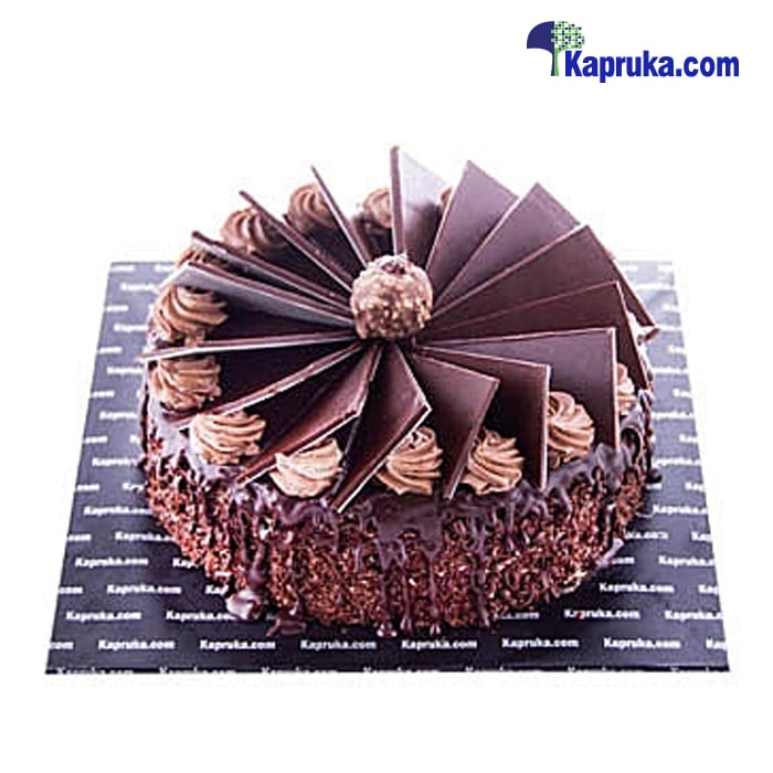 Chocolate Opera Delights Online at Kapruka | Product# cake00KA00789