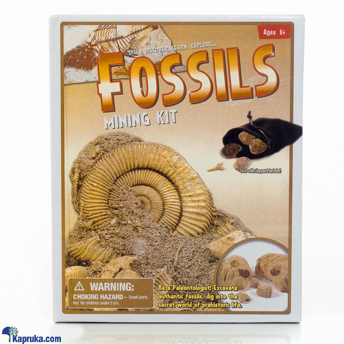 Fossils Mining Kit Online at Kapruka | Product# kidstoy0Z916