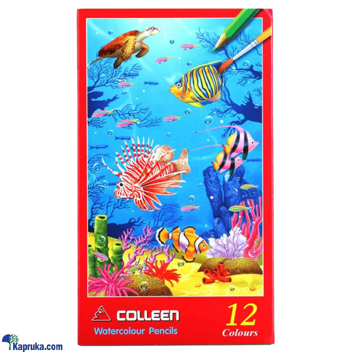 Colleen Water Color Pencils- 12 Colours Online at Kapruka | Product# childrenP0486