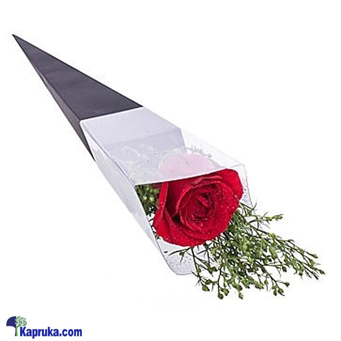 A Rose Amorous For Her Online at Kapruka | Product# flowers00T1182