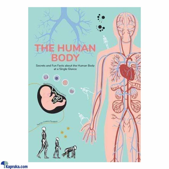 The Human Body Online at Kapruka | Product# chldbook00408