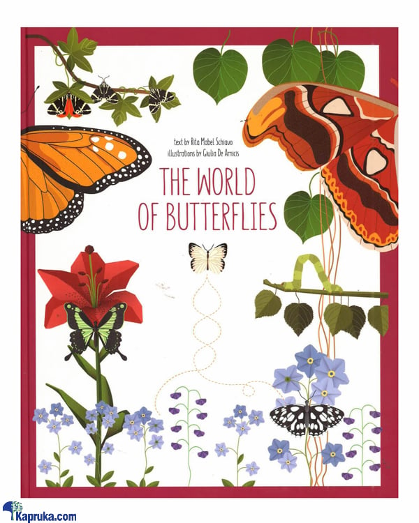 The World Of Butterflies Online at Kapruka | Product# chldbook00409