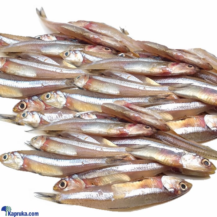 Indian Anchovies (hadella ) 1kg (uncleaned) Online at Kapruka | Product# seafood00109