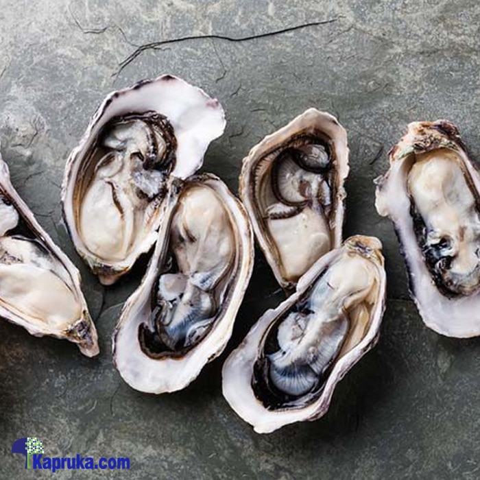 Fresh Oysters- 10 Shell Pack (un- Shuck) Online at Kapruka | Product# seafood00107