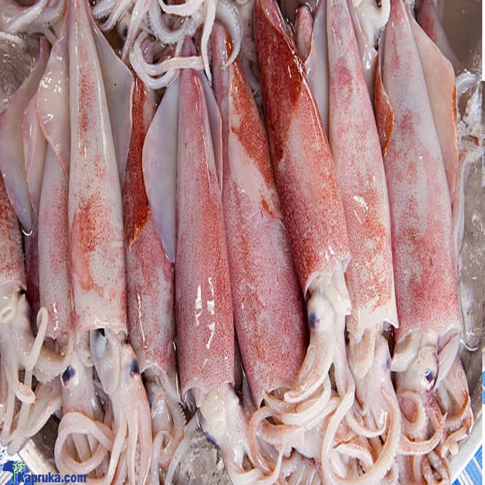 Cuttlefish (della ) Smll- 1kg Online at Kapruka | Product# seafood00112