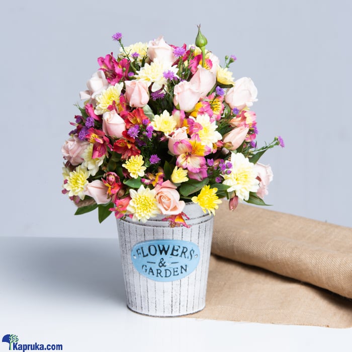 Pop Of Whimsy Blooms Vase Online at Kapruka | Product# flowers00T1344