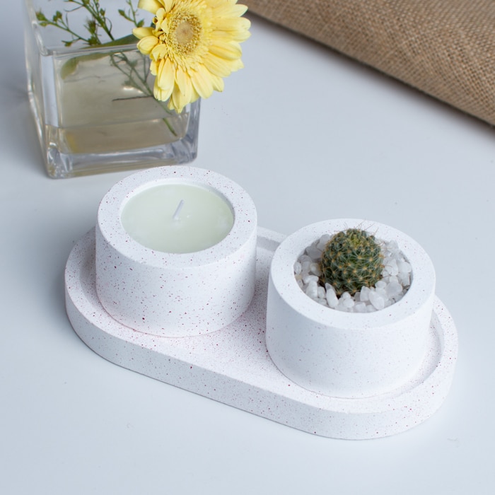 Cactus With A Scented Candle Online at Kapruka | Product# flowers00T1352