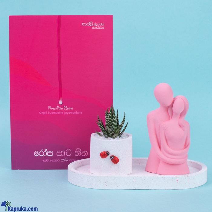 Match Made In Heaven Cactus Plant With Couple Statue And 'rosa Pata Heena'book - Gift For Her , Gift Online at Kapruka | Product# flowers00T1376