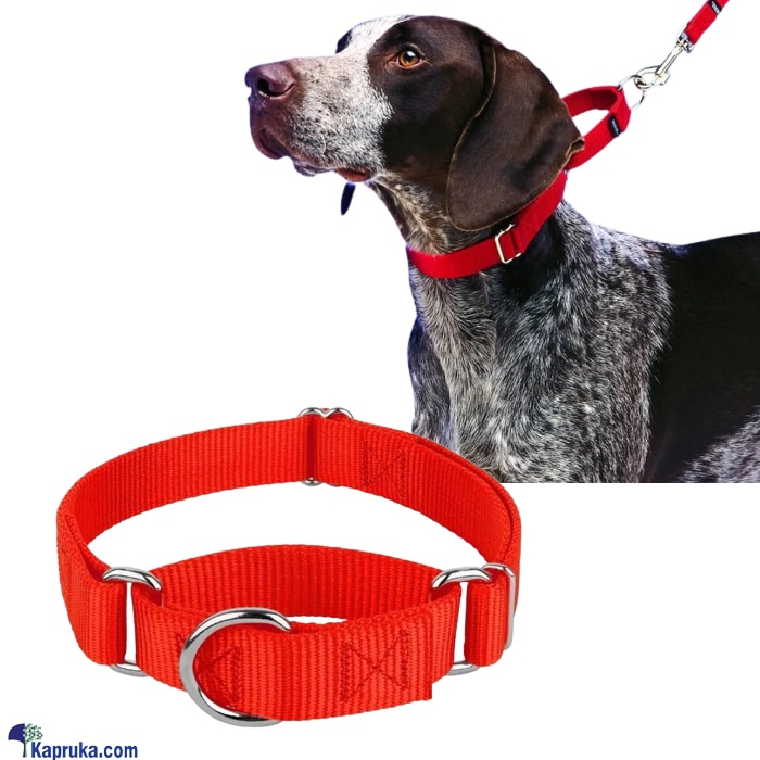 Martingale Soft Nylon Dog Neck Collar, Safety Adjustable P Chain Slip Cinch Pet Choke Behaviour Training Collars Online at Kapruka | Product# petcare00153