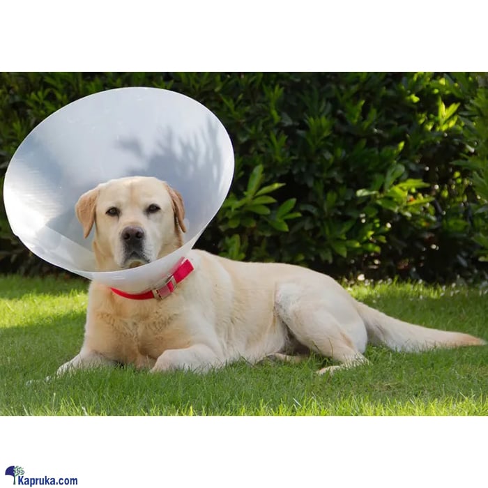 Pet Dog Cat Protective Collar Anti-Bite Lick Wound Healing Medical Recovery Soft Edge Neck Cone Bite-Proof Protector Adjustable Protective - XXS Online at Kapruka | Product# petcare00158_TC1