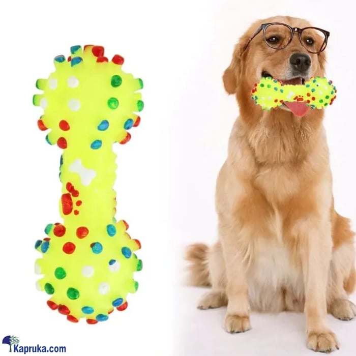 Rubber Squeaky Bone Shaped Polka Dot Dog Toy Molar Teeth Bite Resistant Chew Online at Kapruka | Product# petcare00163