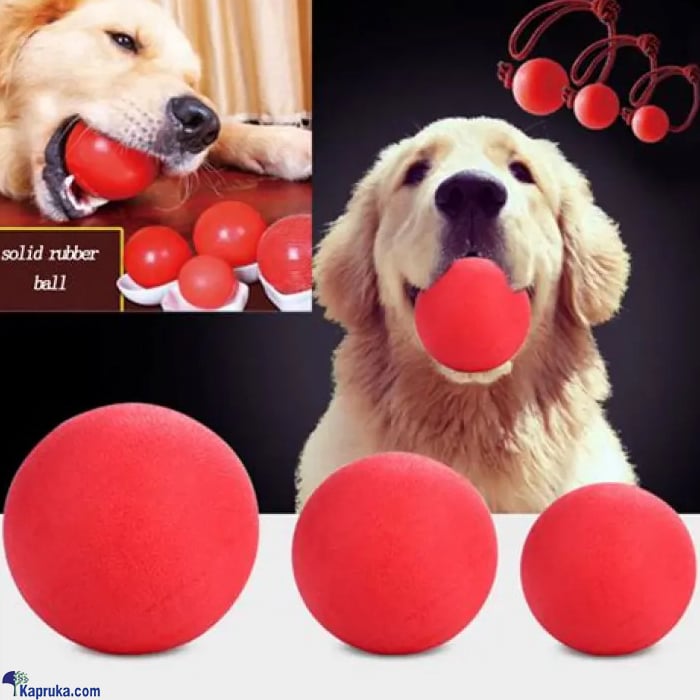 Red Solid Ball Dog Toy Rubber Bite Resistant for Fetch Play Pet Puppy Dogs Chew Playing Bite Resistant Teeth - Small Online at Kapruka | Product# petcare00164_TC1