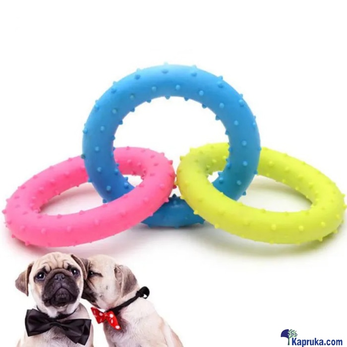 Small Rubber Circle Shaped Dog Toy Molar Bite Resistant Chew Tire Donut Toy For Small Pet Puppy Outdoor Training Pet Supplies Toys Online at Kapruka | Product# petcare00167