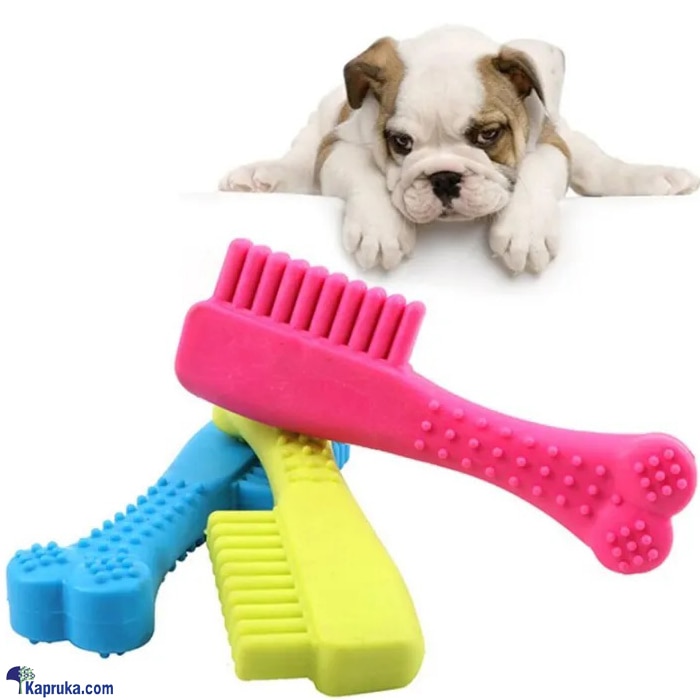 Small Rubber Toothbrush Shaped Dog Toy Molar Bite Resistant Chew Toy For Small Pet Puppy Outdoor Training Pet Supplies Toys Online at Kapruka | Product# petcare00162