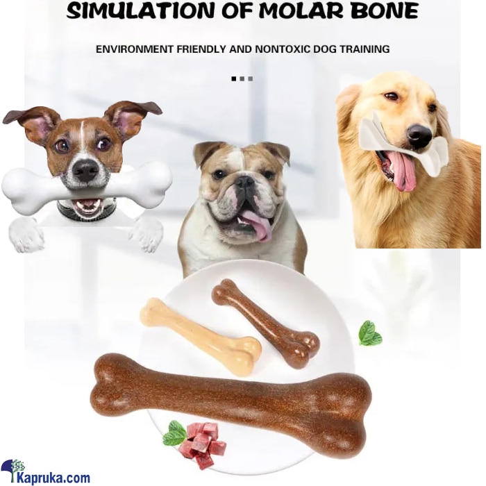 Hard Plastic Product Pet Puppy Dog Bone Chew Dental Toy For Aggressive Chewers - Medium Online at Kapruka | Product# petcare00168_TC2