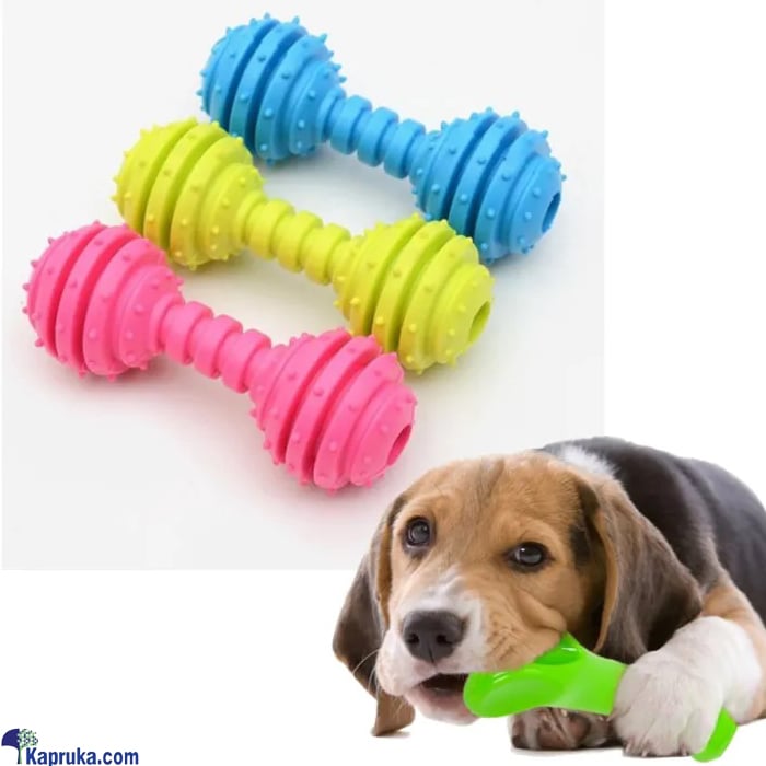 Rubber Bone Shaped Dog Toy Molar Bite Resistant Chew Toy For Small Pet Puppy Outdoor Training Pet Supplies Toys Online at Kapruka | Product# petcare00171