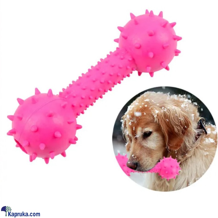 Rubber Bone Shaped Dog Toy Spiky Molar Bite Resistant Chew Toy For Small Pet Puppy Outdoor Training Pet Supplies Toys Online at Kapruka | Product# petcare00177