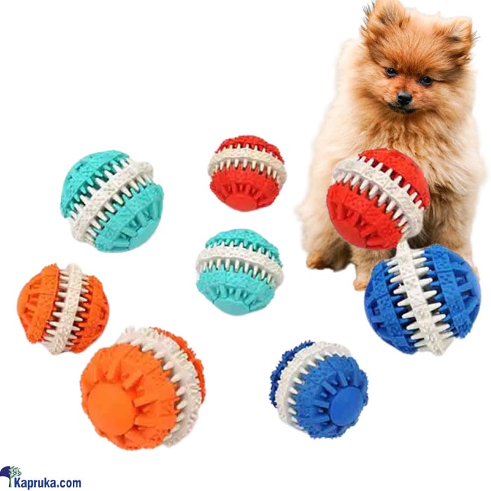 Dental Fun Ball Dog Toy Online at Kapruka | Product# petcare00188