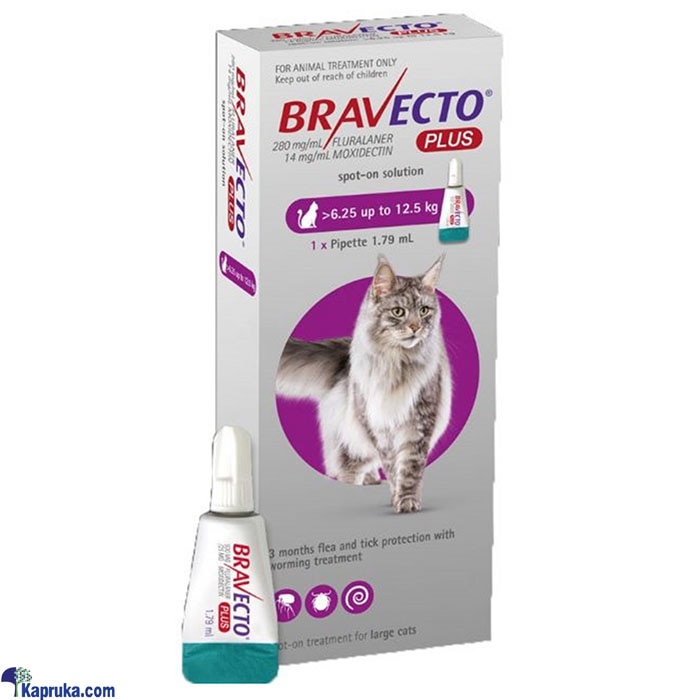 Bravecto PLUS For Cats 500mg 1x1tab - BRAV- 500MG- PLUS Online at Kapruka | Product# petcare00206