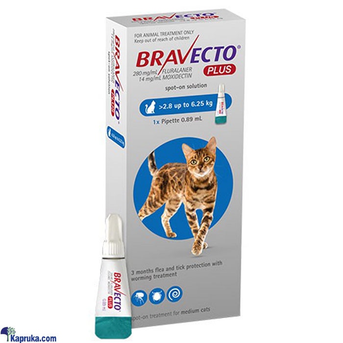 Bravecto PLUS For Cats 250mg 1x1tab - BRAV 250MG- PLUS Online at Kapruka | Product# petcare00205