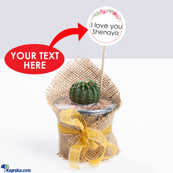 Cactus With Customize Greeting Online at Kapruka | Product# giftset00421