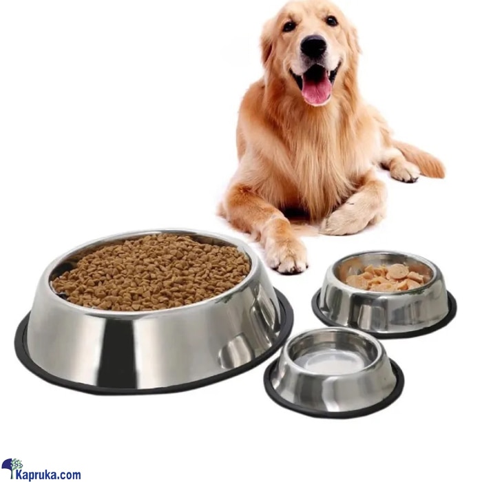 Pet Bowl Stainless Steel Safeguard Neck Puppy Dog Cat Rabbit Food Water Feeding Utensil Feeder - XL Online at Kapruka | Product# petcare00237_TC3