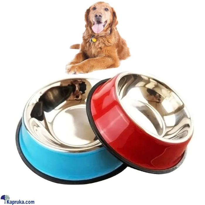 Colorful Pet Bowl Stainless Steel Safeguard Neck Puppy Dog Food Water Feeding Colourful Utensil Feeder 1 Piece - Small Online at Kapruka | Product# petcare00239_TC1