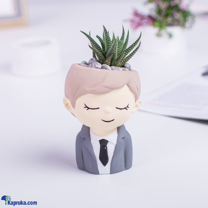 Spiny Splendor Gentleman Cactus Gift Pot Online at Kapruka | Product# flowers00T1433