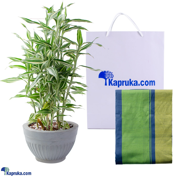 Lungilife- Cotton Lungi With Sandriana Home Deco Plant Online at Kapruka | Product# clothing07603