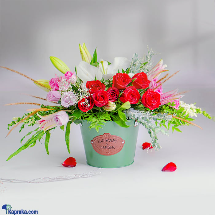 Rosy Lily Dreams Online at Kapruka | Product# flowers00T1491