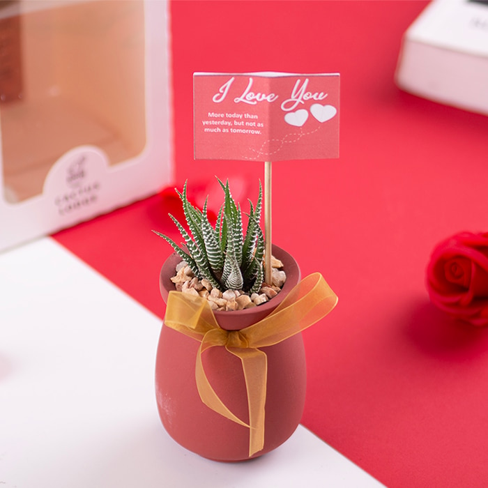Ruby Rosebud Online at Kapruka | Product# flowers00T1539