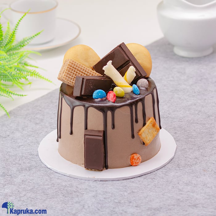 Cocoa Wonders Bento Cake Online at Kapruka | Product# cake00KA001593