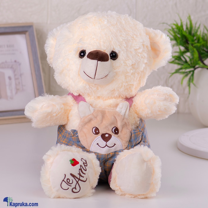 Sunny Cute Teddy Bear - Peach Color Online at Kapruka | Product# softtoy00977