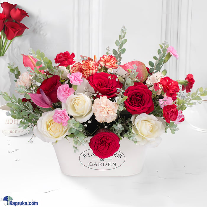 Scarlet Dreamscape Arrangement Online at Kapruka | Product# flowers00T1581