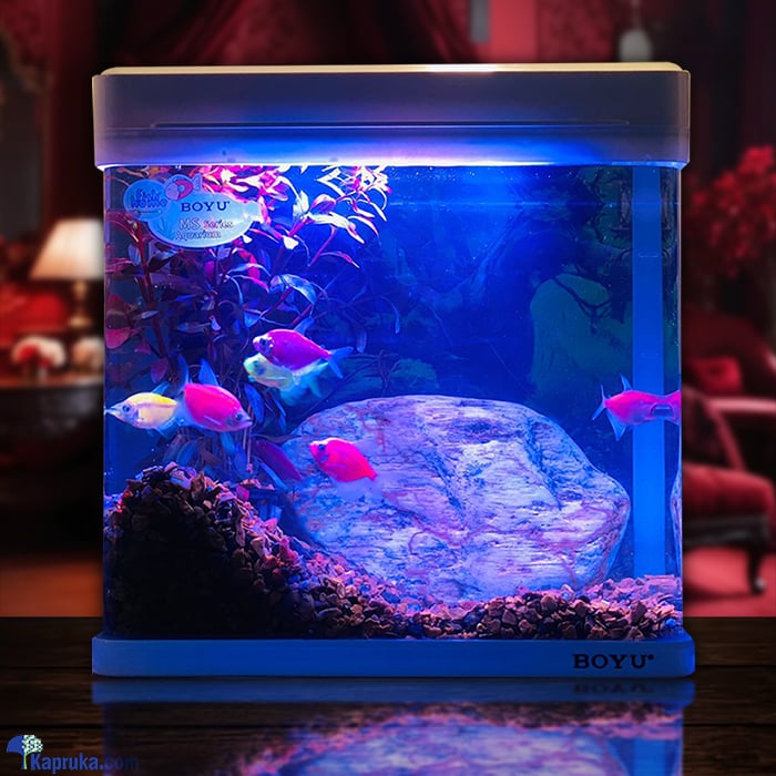 Boyu 8 Litre MS Series Aquarium Tank With Glo Tetra Fish - Black Tank Online at Kapruka | Product# petcare00304_TC1