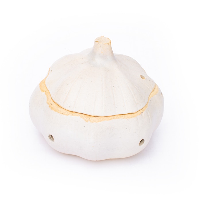 Garlic Pot Online at Kapruka | Product# CBhome00090