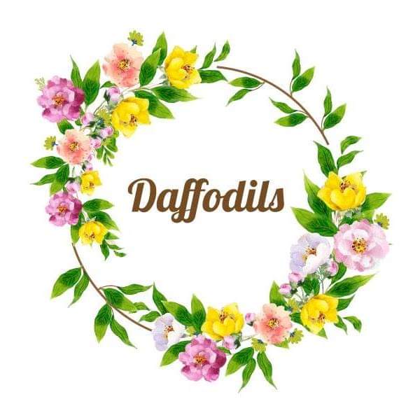 Daffodils online sale listings at Kapruka