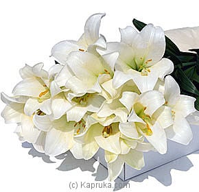 FLOWER BOX White Lilies - Kapruka Product intGift00130