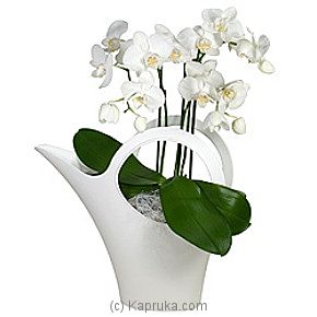 Orchid & Koziol Water- Can - Kapruka Product intGift00135
