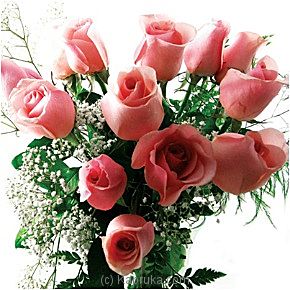 12 Pink Roses - Kapruka Product intGift00371
