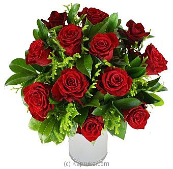 Dozen Red Roses - Kapruka Product intGift00501