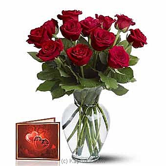 One Dozen Long Stem Red Roses - Kapruka Product intGift00624